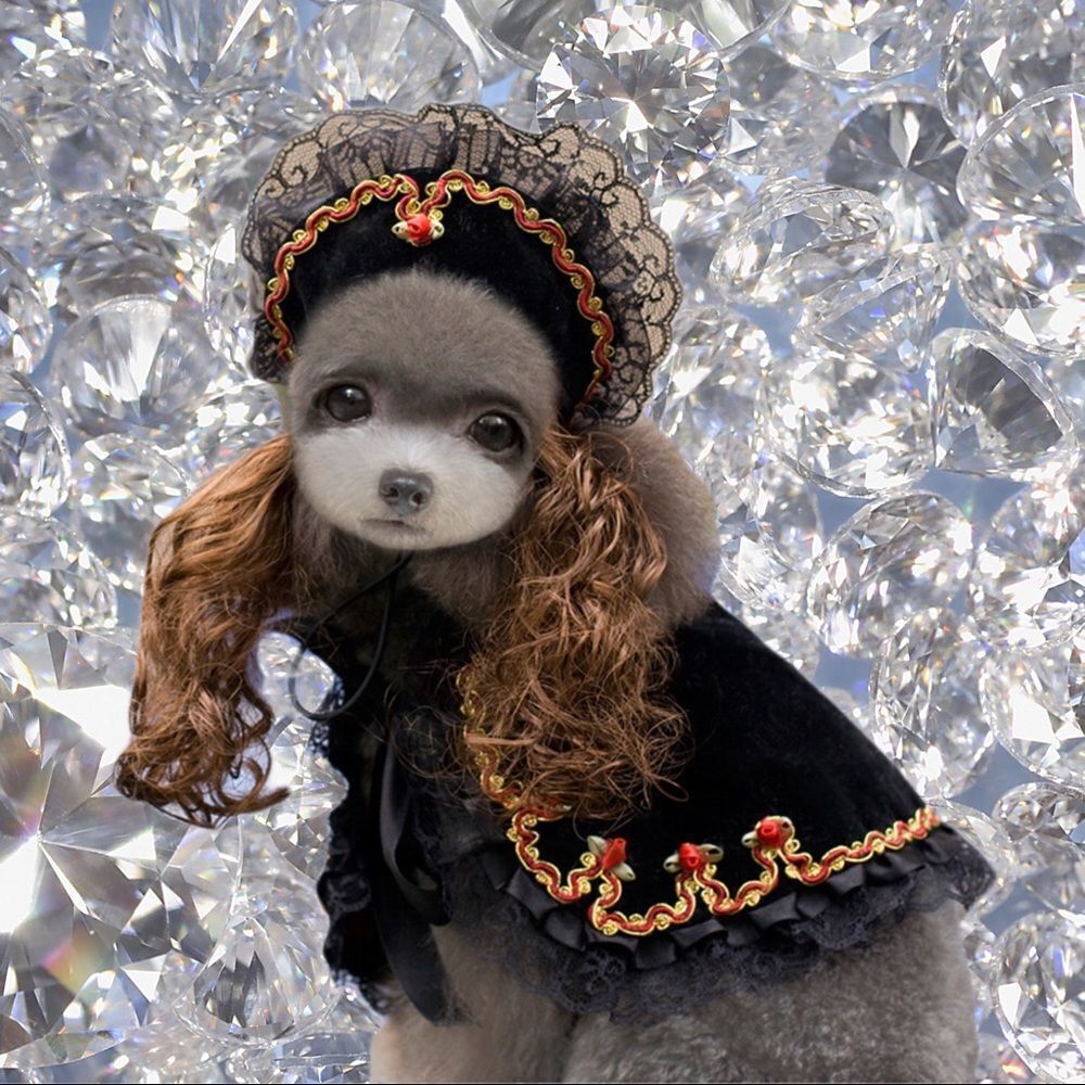 Gold Rose Princess Victoria Set